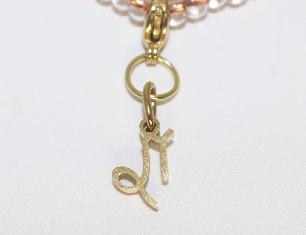 Sovereign Capricorn Zodiac Charm