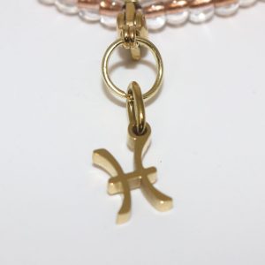 Ethereal Pisces Zodiac Charm